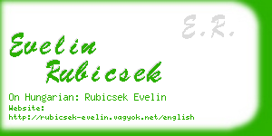 evelin rubicsek business card